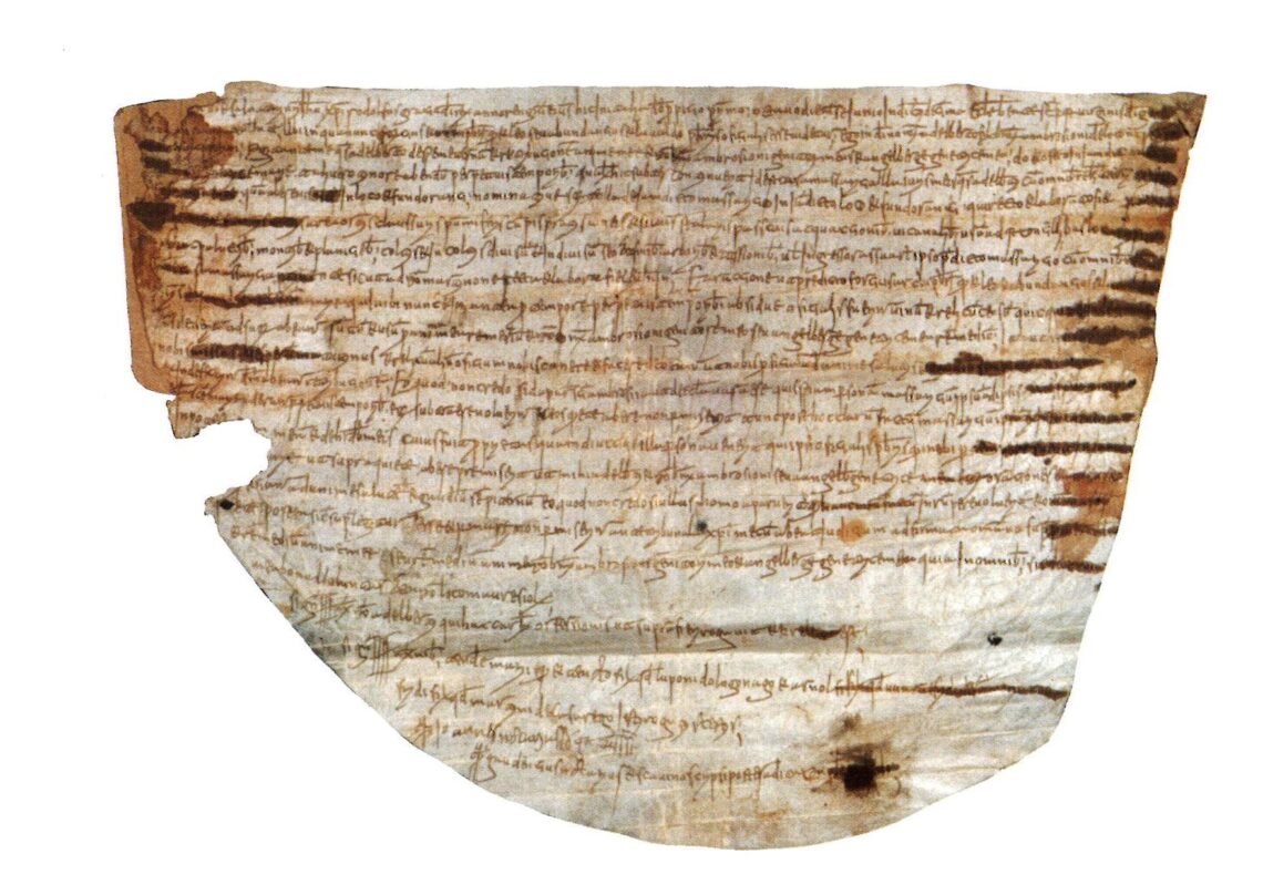 testo pergamenaceo